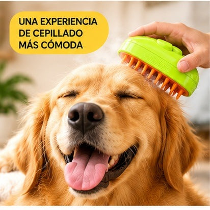 Perro disfrutando el cepillado con vapor