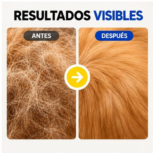 Resultados visibles: antes y después